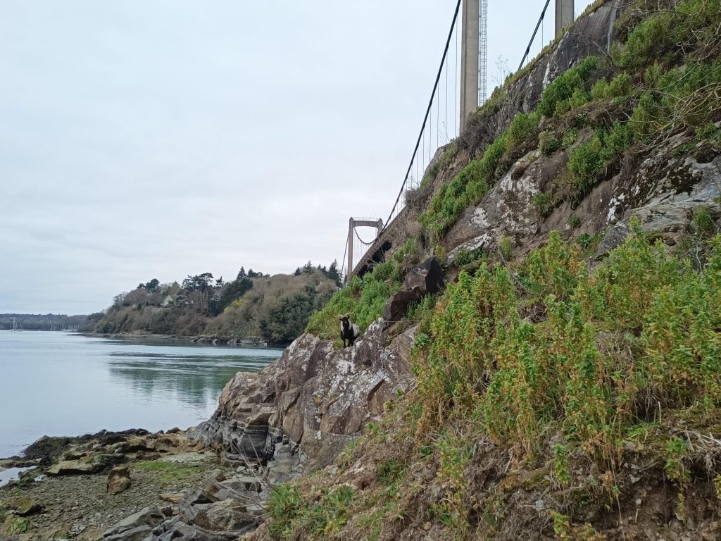the bridge of saint hubert brittany