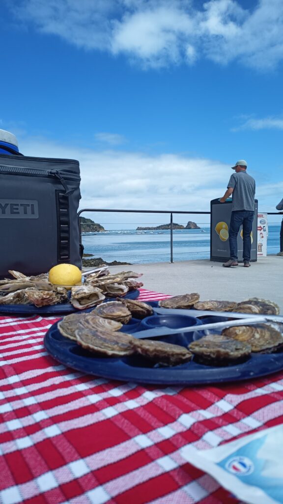 eatinf oysters at the oyster market in cancale, brittany