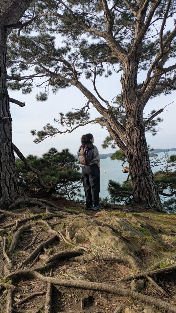 coast walk near saint suliac, brittany