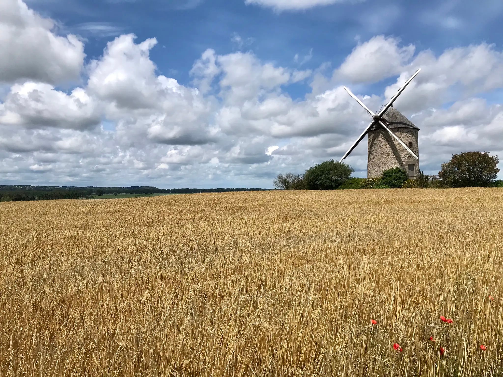 the moidrey windmill seen across the fields in normandy